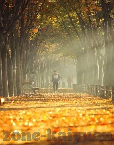 竞彩足球完场比分直播-竞彩足球完场比分直播，实时掌握赛场风云，畅享足球激情